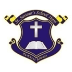 Home saviours-150x150