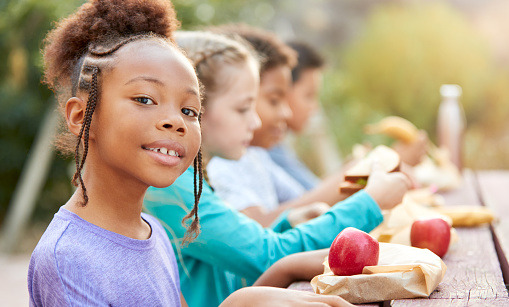 Food the Way of Life (Lower Elementary)